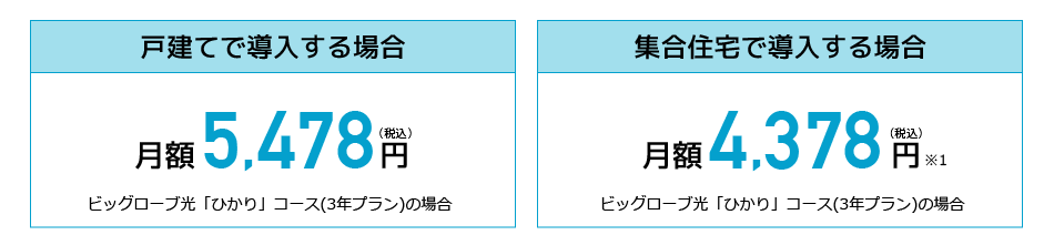 ビックローブ光 料金